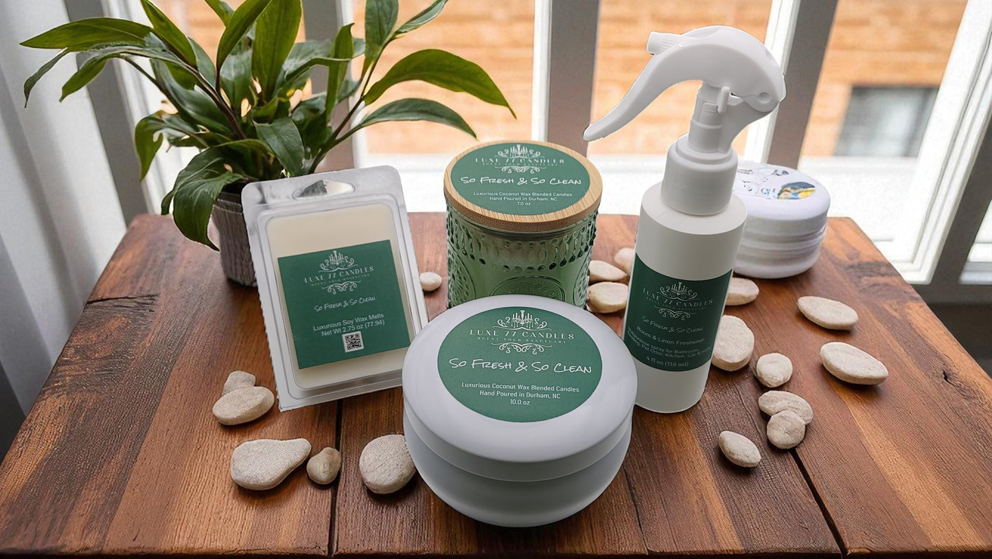 So Fresh & So Clean Wax Melts
